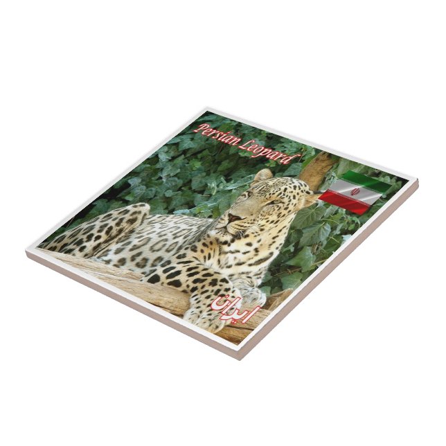 zIR006 PERSIAN LEOPARD, Iran, Asia, Ceramic Tile (Side)
