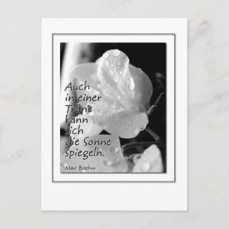 Zitat-Traene Postcard