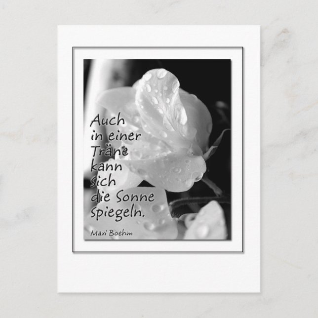 Zitat-Traene Postcard (Front)