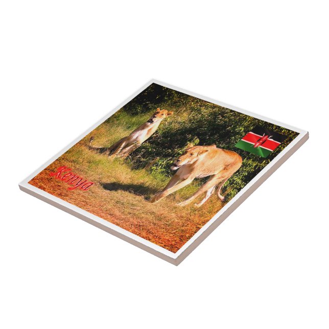 zKE005 KENYA, Lions, Africa, Ceramic Tile (Side)