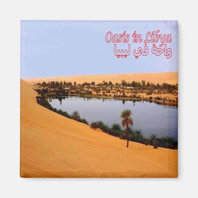 zLY008 OASIS,  Libya, Africa, Fridge Magnet (Front)