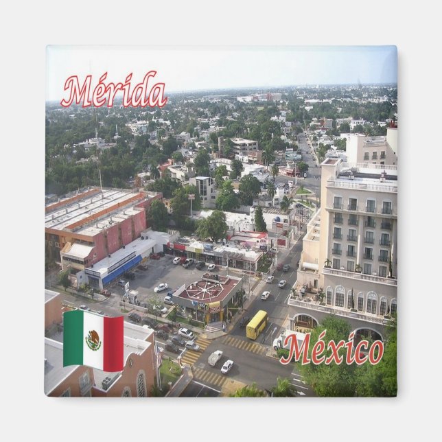 zMX016 MERIDA, Aerial View, Mexico, Yucatán,Fridge Magnet (Front)