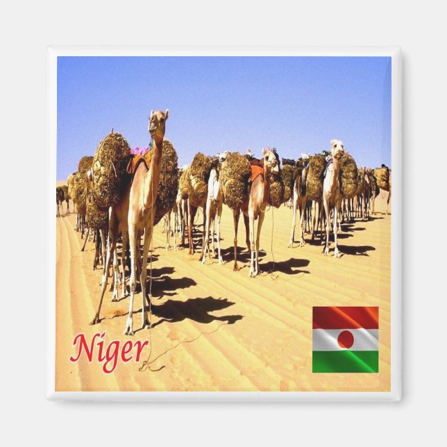 zNE007 NIGER, Oasis Bilma, Africa, Fridge Magnet (Front)