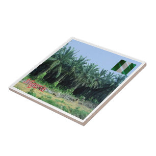 zNG009 NIGERIA, Palm Trees, Africa, Ceramic Tile
