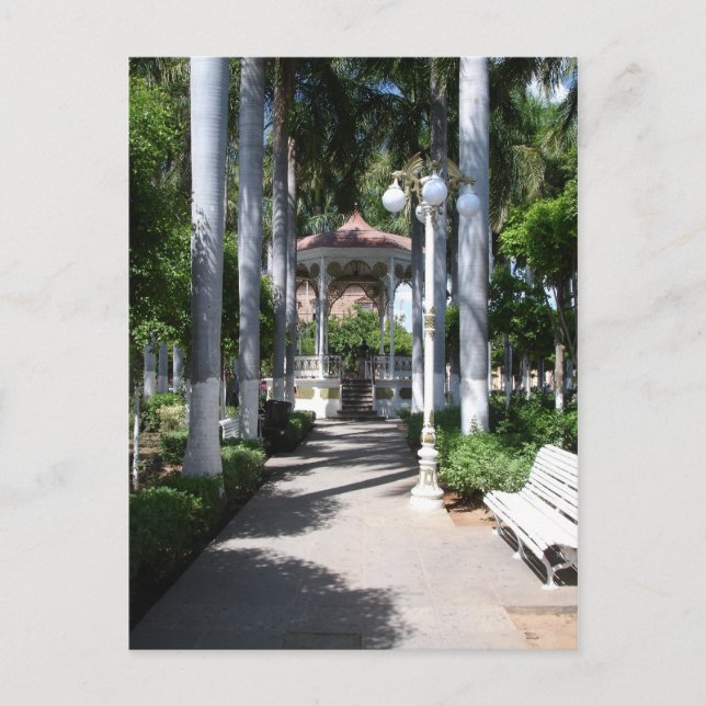 Zocalo Kiosk, El Fuerte, Sinaloa, Mexico Postcard (Front)