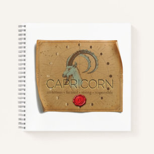 Zodiac - Capricorn - Journal