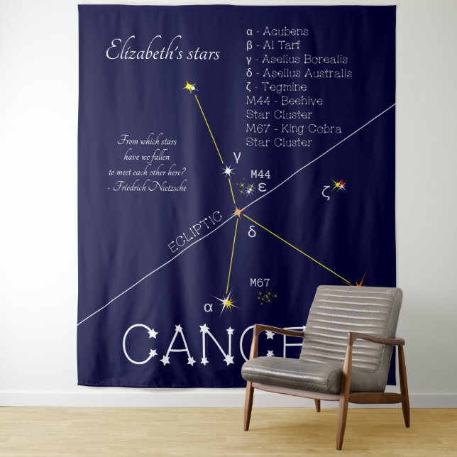 Zodiac Constellation Cancer Tapestry (In Situ)