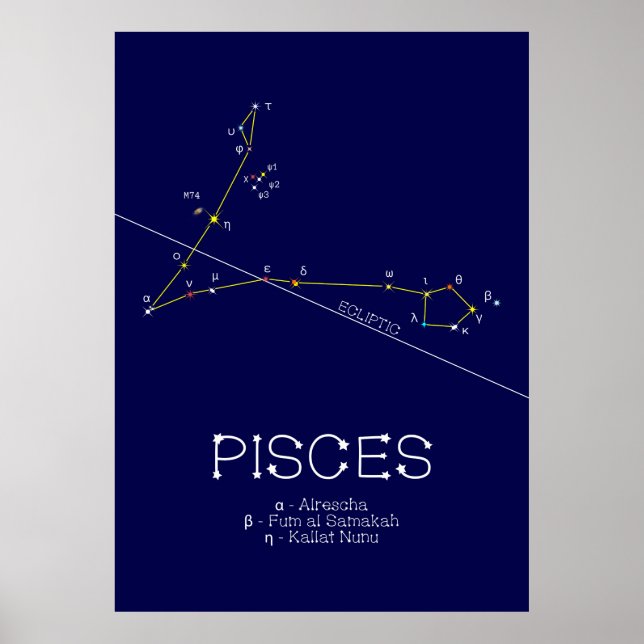Zodiac Constellation Pisces Poster (Front)