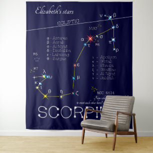 Zodiac Constellation Scorpius Tapestry