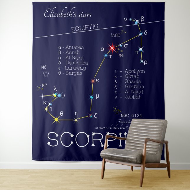 Zodiac Constellation Scorpius Tapestry (In Situ)