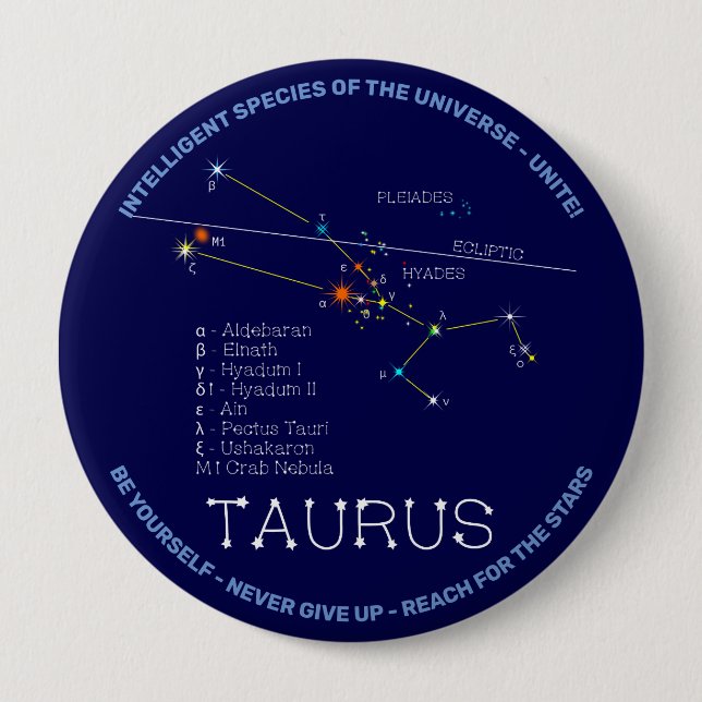 Zodiac Constellation Taurus 10 Cm Round Badge (Front)