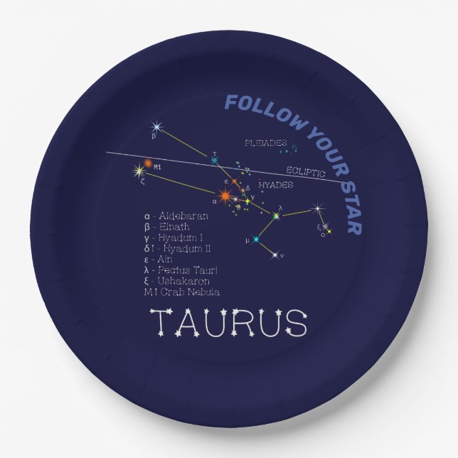 Zodiac Constellation Taurus Paper Plate (Front)