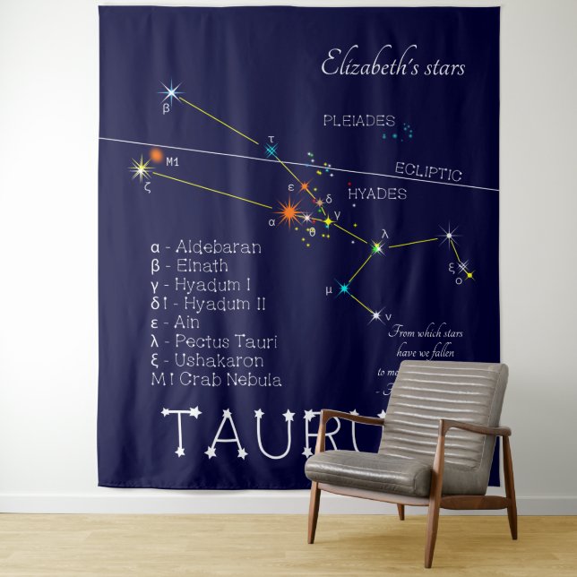 Zodiac Constellation Taurus Tapestry (In Situ)