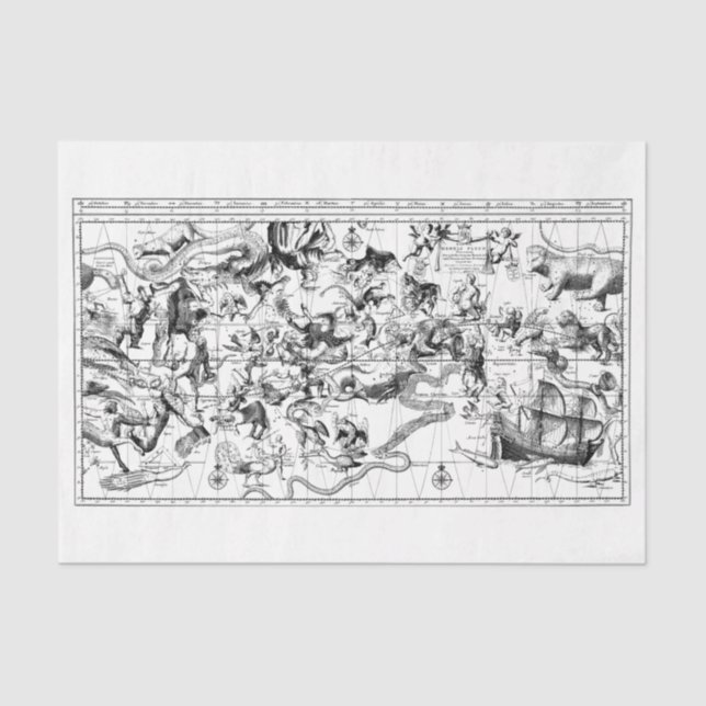 Zodiac Constellations Black White Tissue Paper (Front)