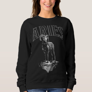 Zodiac Sign Aries Astrology Horoscope Sweatshirt