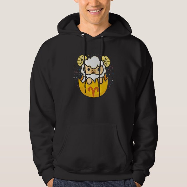 Zodiac Signs Astrology Horoscope  Astrologer Cute  Hoodie (Front)