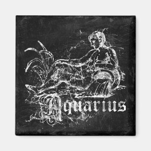 Zodiac Vintage Aquarius Magnet