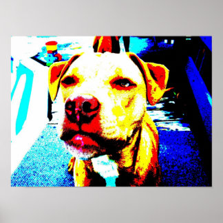 zoe posterised poster