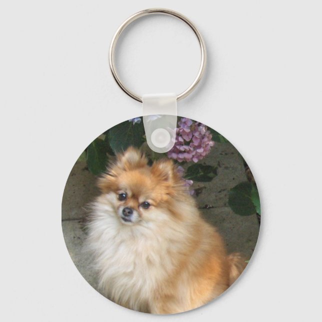 ZOE's nice day 2010 Key Ring (Front)