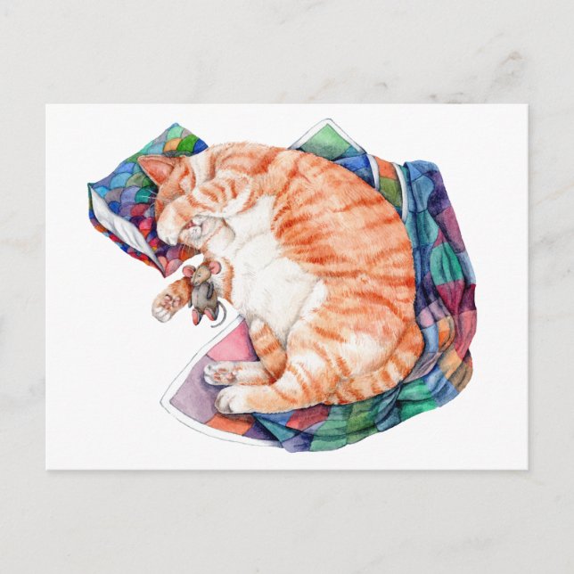 Zoe's Winter Nap Postcard (Front)