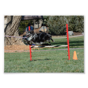 Zoey 1 photo print