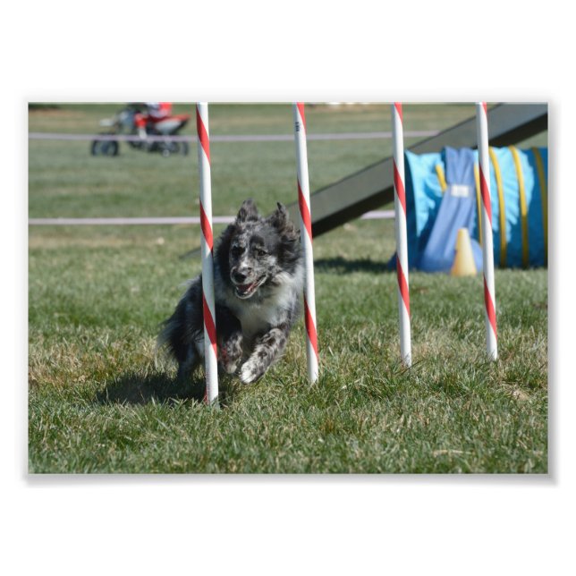 Zoey 2 photo print (Front)