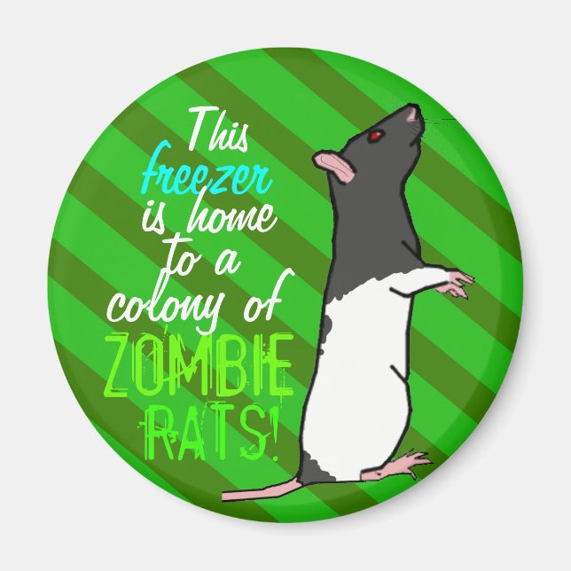 Zombie rat round magnet (black hood rat) (Front)