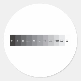 Zone System Classic Round Sticker