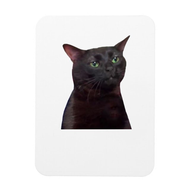 Zoned Out Cat, zoned out Magnet (Vertical)