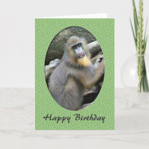 Zoo animal baboon happy birthday card