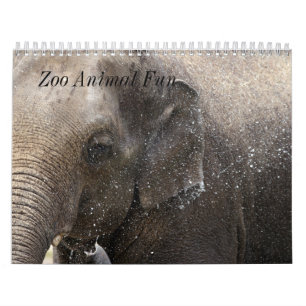 Zoo Animal Fun Calendar