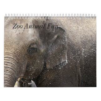 Zoo Animal Fun Calendar
