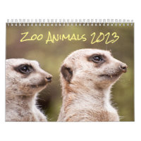 Zoo Animals Photography 2023