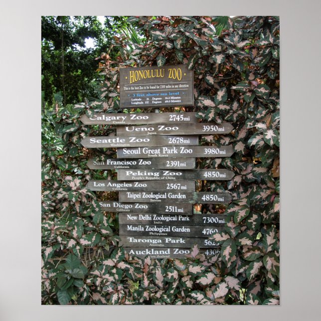 ZOO at END of EARTH - HONOLULU Poster (Front)