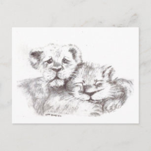 Zoo Babies Postcard