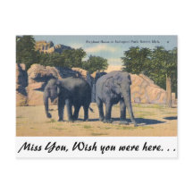 Zoo, Detroit, Michigan