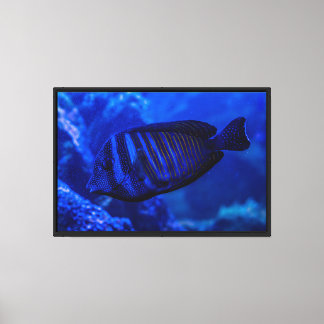 Zoo & Farm Park Animals Stretched Canvas Print
