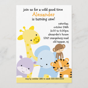 Zoo Fun Birthday Party Invitation