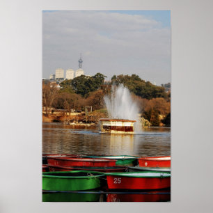 Zoo Lake Fountain South Africa Poster