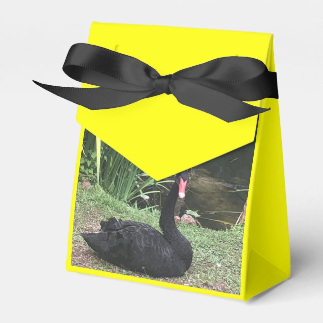 Zoo Love Favour Box (Front Side)