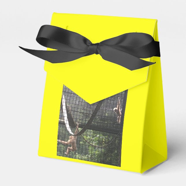 Zoo Love Favour Box (Front Side)