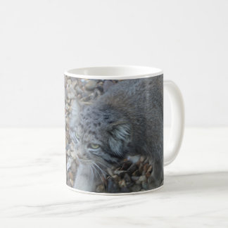 Zoo Photography - Pallas Cat (Manul) Coffee Mug