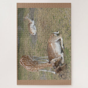 Zoo Puzzle: Cute Deer Jigsaw Puzzle