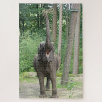 Zoo Puzzle: Cute Happy Elephant