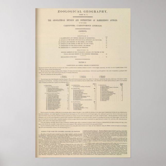 Zoological Geography Carnivora Poster (Front)
