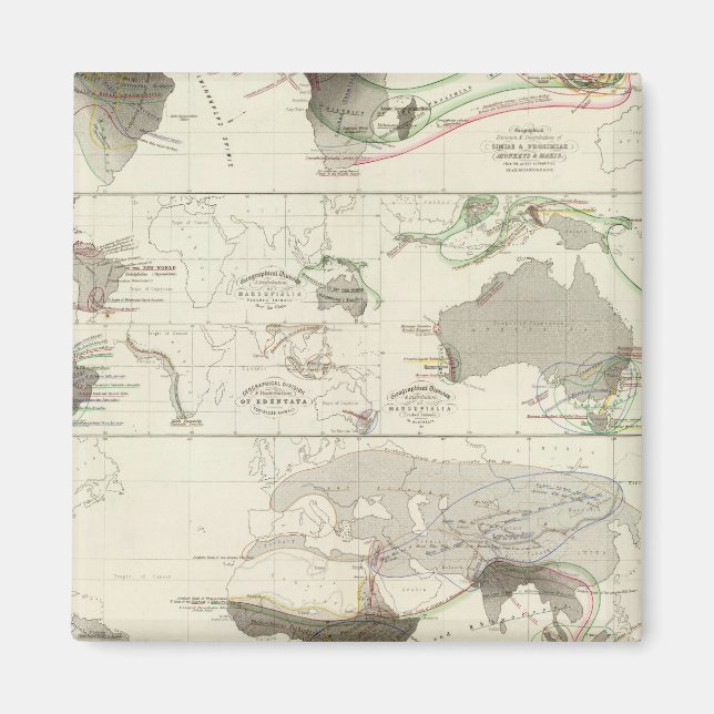 Zoological geography magnet (Front)