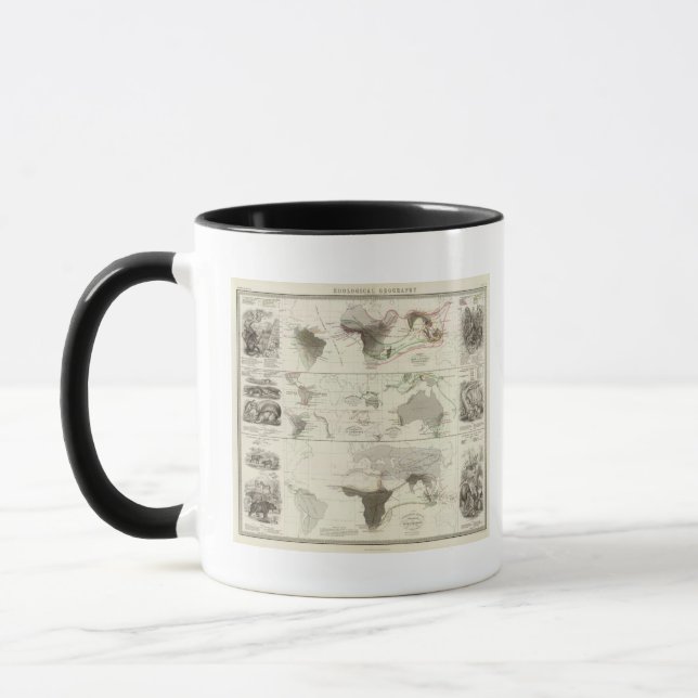 Zoological geography mug (Left)