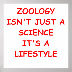 zoology poster