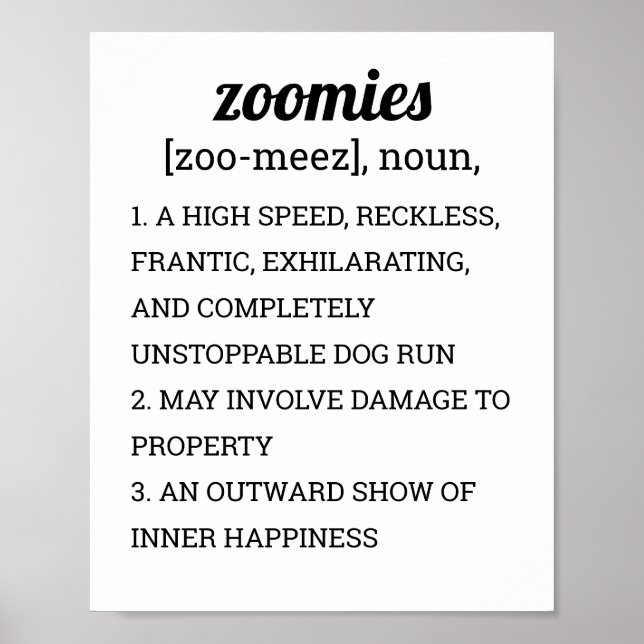 ZOOMIES DEFINITION POSTER (Front)