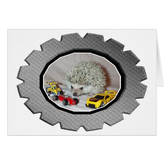 Zoomin' Hedgehog (Front Horizontal)